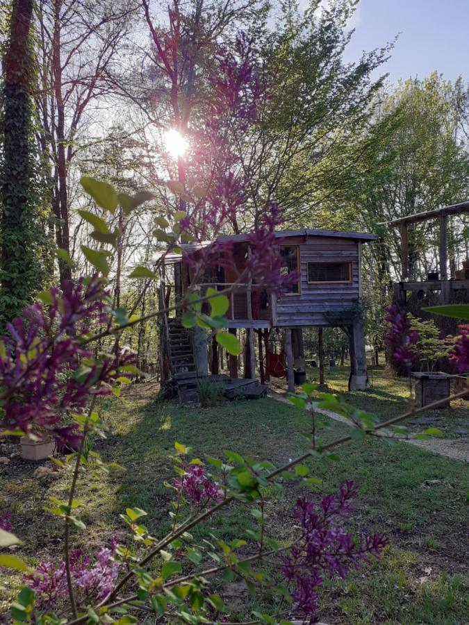 La Cabane De L'Oiseau Couze-et-Saint-Front Exterior foto